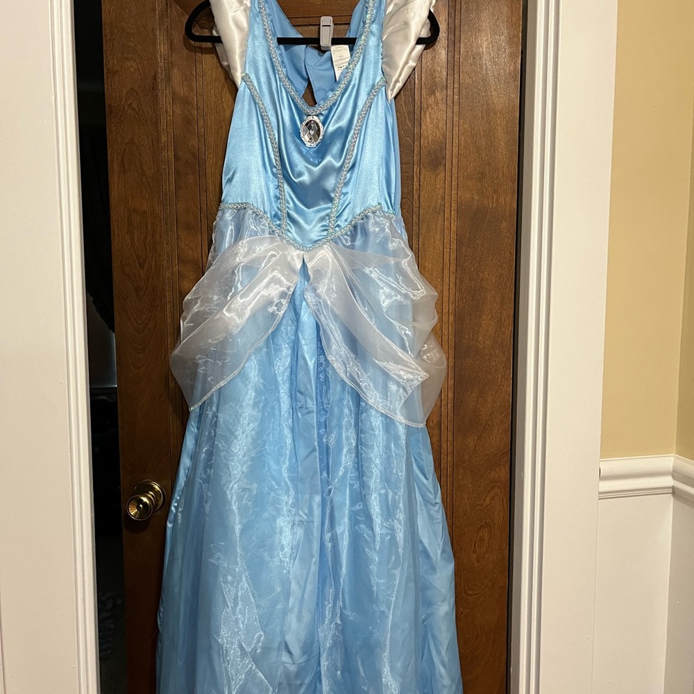 Disney Cinderella ladies medium costume